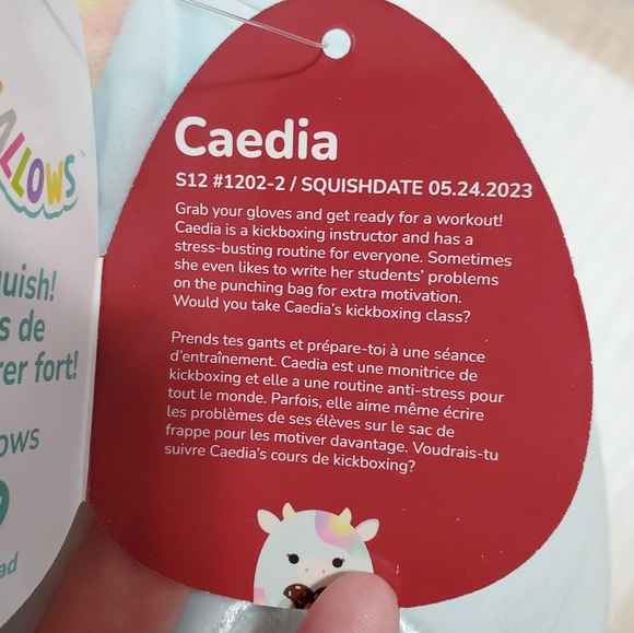 NWT Caedia, The Cow, 12" Squishmallows - Picture 5 of 7
